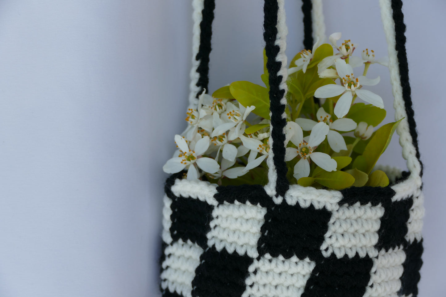 Black & White Plant Hanger