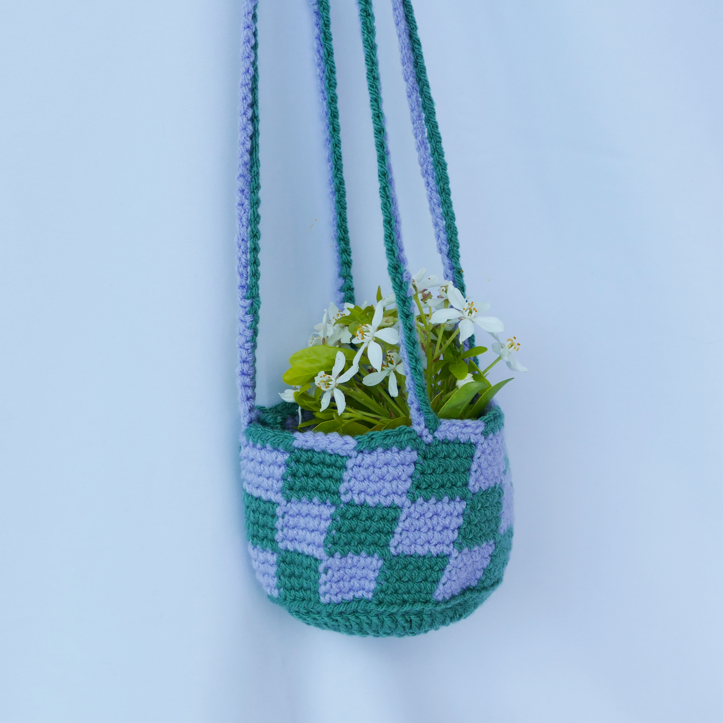 Green & Lilac Plant Hanger